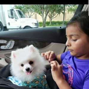 Meet your Posher, Abril